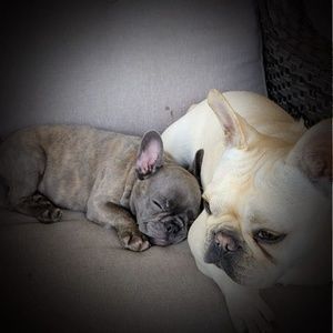 Meet your Posher, Carla